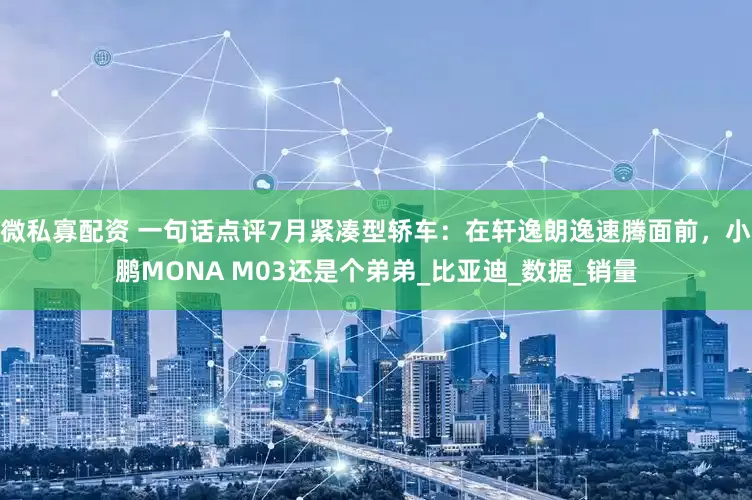 微私寡配资 一句话点评7月紧凑型轿车：在轩逸朗逸速腾面前，小鹏MONA M03还是个弟弟_比亚迪_数据_销量
